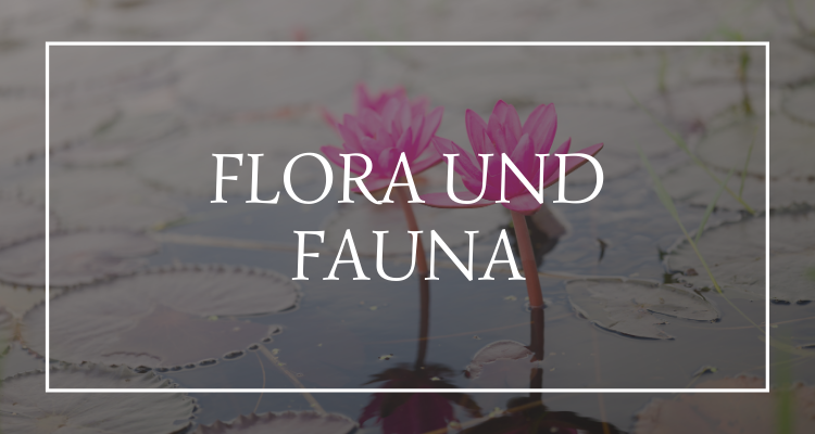 Flora und Fauna